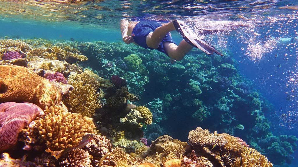 8 Australia Great Barrier Reef Snorkeler
