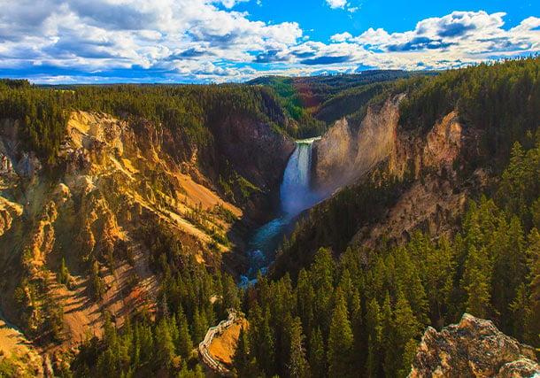 North America Yellowstone National Park search