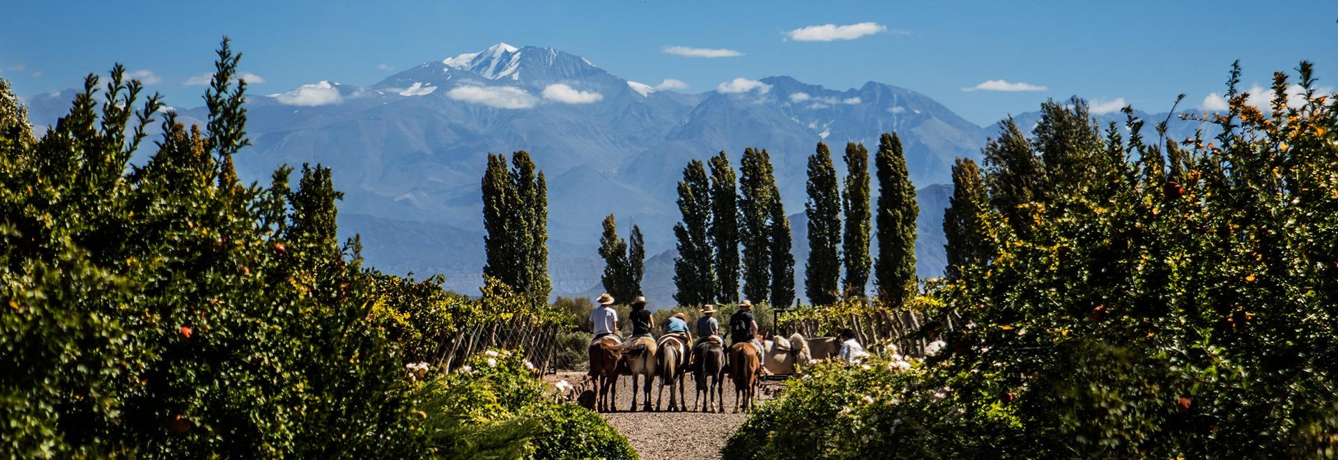 2024 TM Argentina Cultural Natural Wonders Mendoza Horses m
