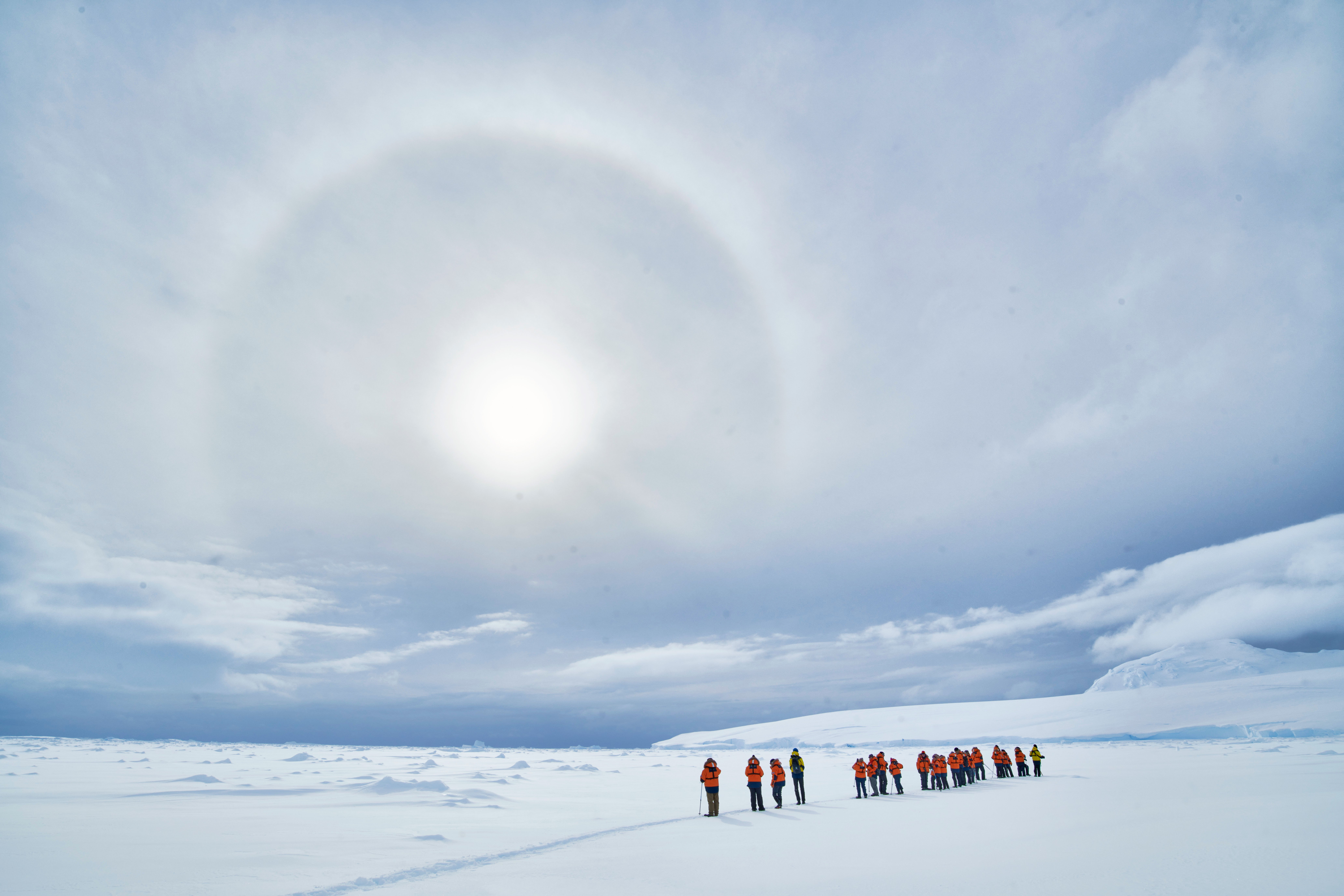 Follow in the Footsteps of the Great Arctic Explorers Search
