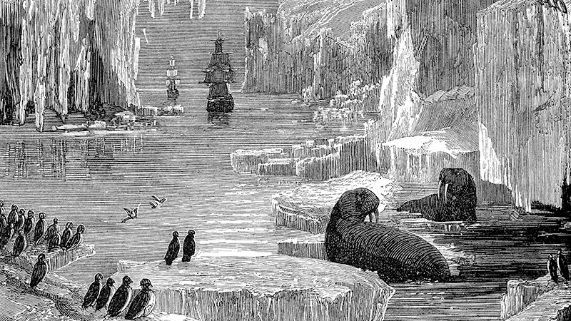 NWP engraving of Arctic Landscape