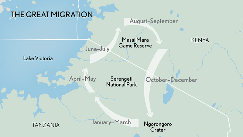 great migration map blog