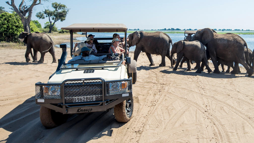 2 Africa Botswana Chobe National Park River Elephants Guests Vehicle