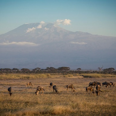 Kilimanjaro: Hahn & Team Spend Day in Ngorongoro Crater