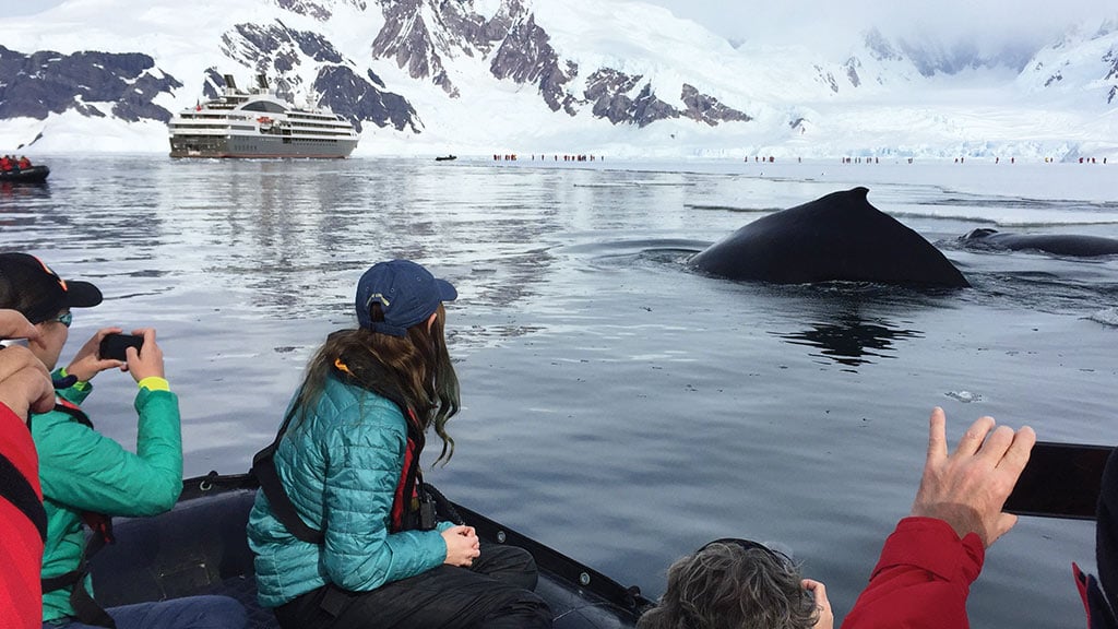 Antarctica Whale Zodiac Kids 2