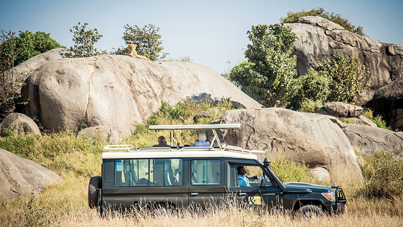 Africa Tanzania Safari Vehicle 3