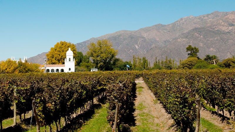 3 Americas Chile Mendoza Vineyard