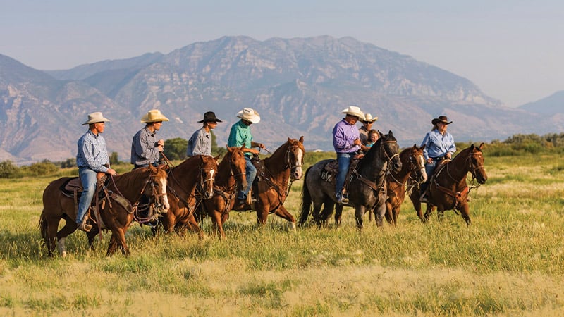 3 Americas Wyoming Horseback Riding