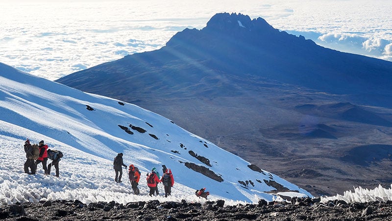 Africa Tanzania Mount Kilimanjaro Climbers