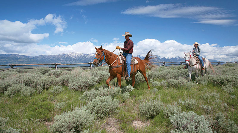 5 Wyoming Horseback Riding