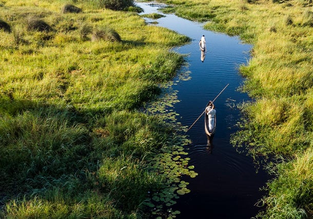 Africa Botswana Okavango Delta Mokoro search