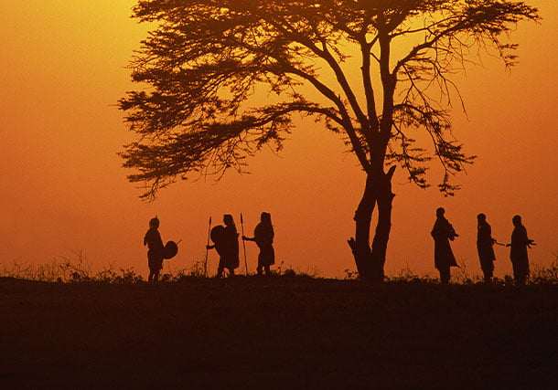 Africa Maasai Tribe Acacia search