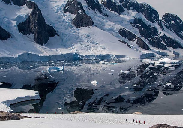 Antarctica Discovery Palmer Bicentennial search