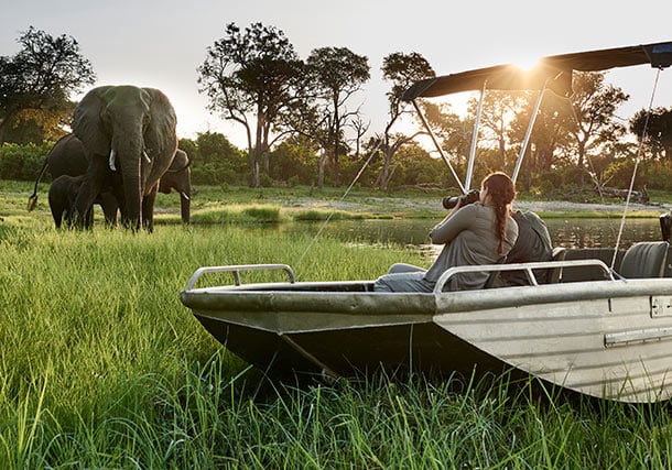 Botswana Safari in Style video search