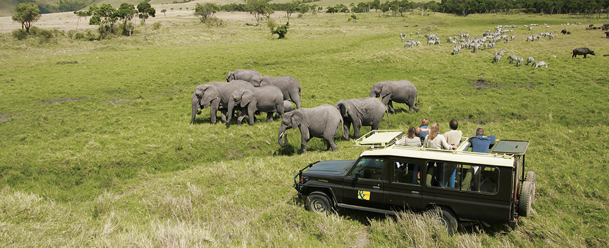 East Africa Game Viewing