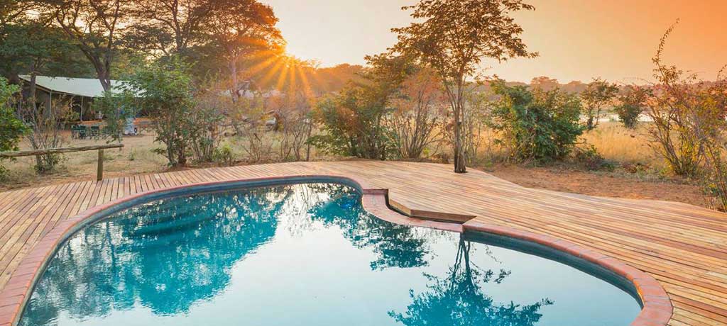 africa zimbabwe hwange national park verneys camp pool