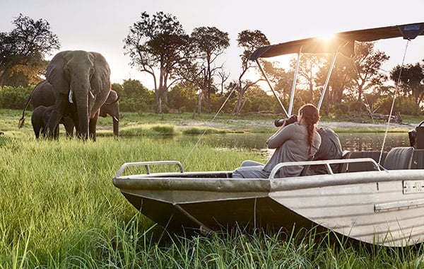 Botswana Safari in Style