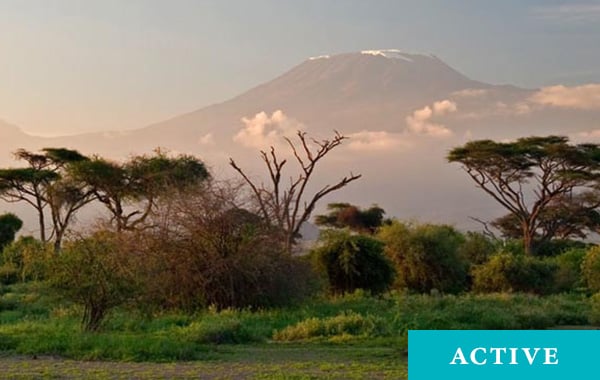 Climb Kilimanjaro: Summiting the Machame Route