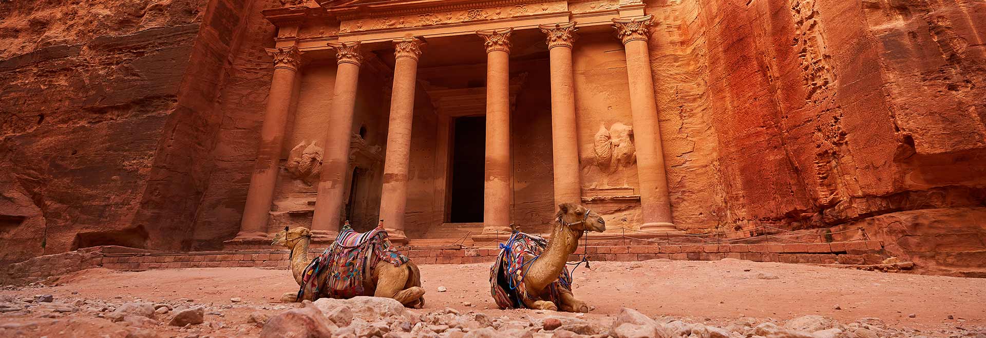 Middle East Jordan Petra Camels MH