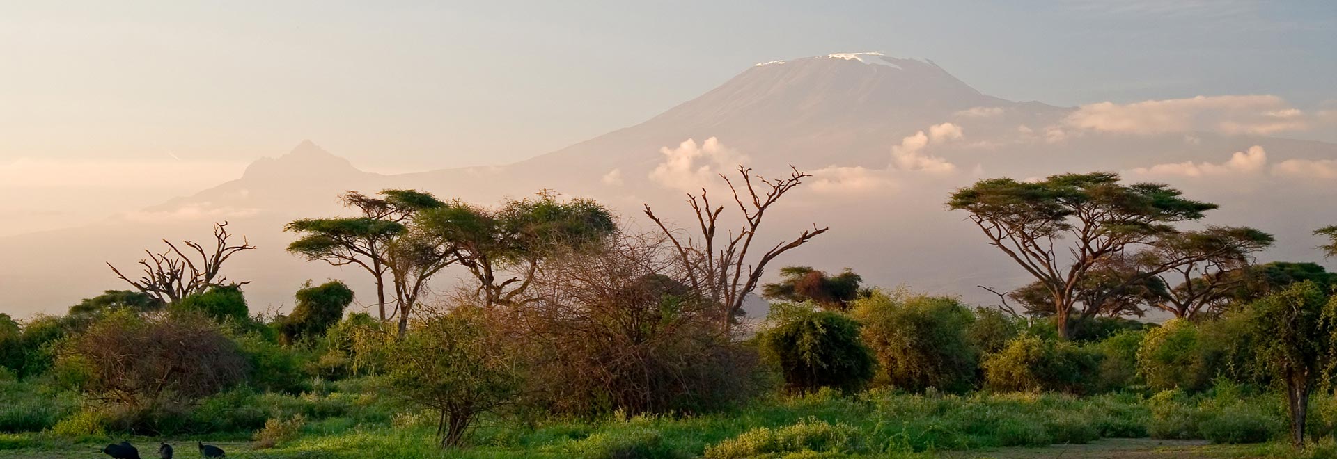 Africa Climb Kilimanjaro Summiting Machame Route MH