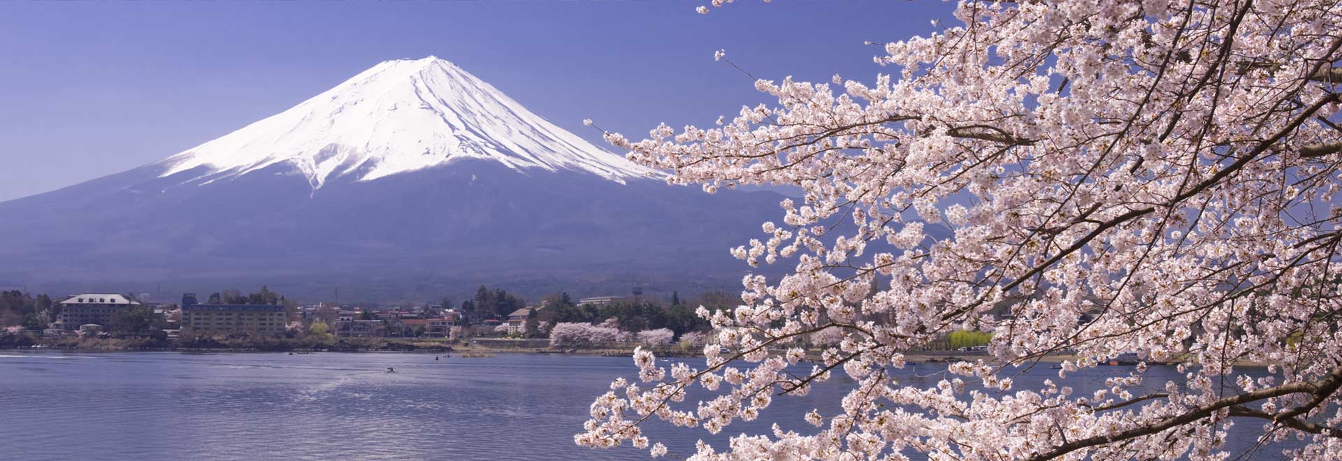 Asia Classic Japan Mt Fuji Cherry Blossom MH