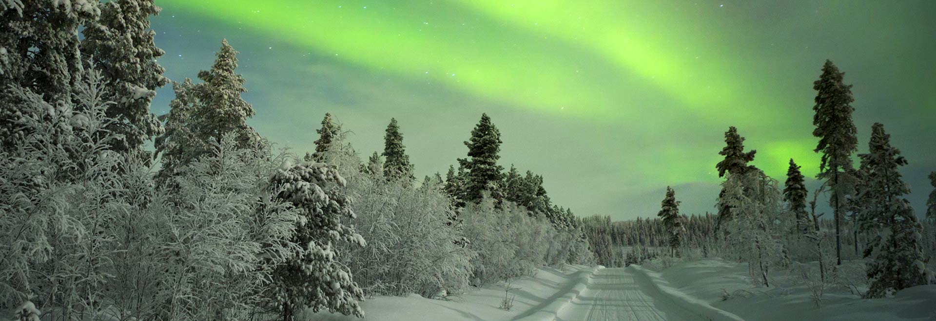 Europe Finland Winter Northern Lights Forest m