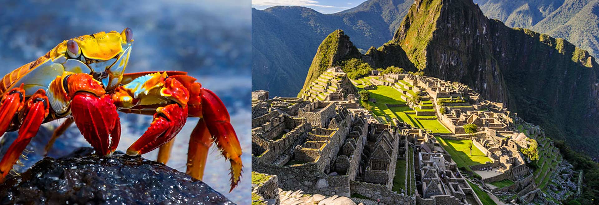 Latin America Wonders Galapagos Machu Picchu MH