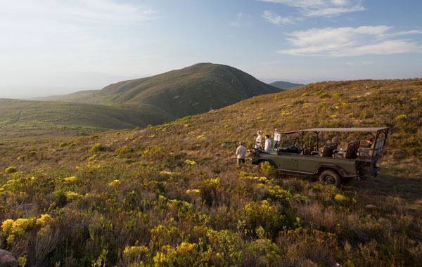 South Africa Safari in Style
