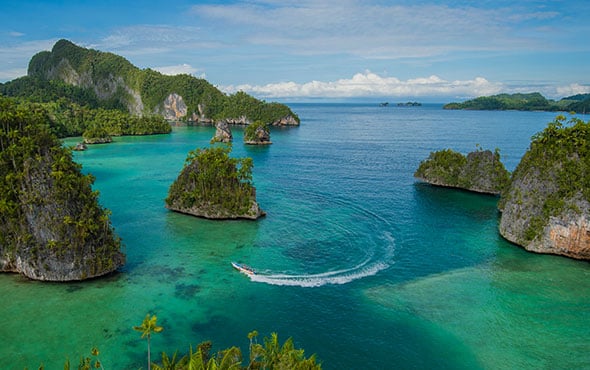 South Pacific Voyage: Komodo, Papua & Great Barrier Reef