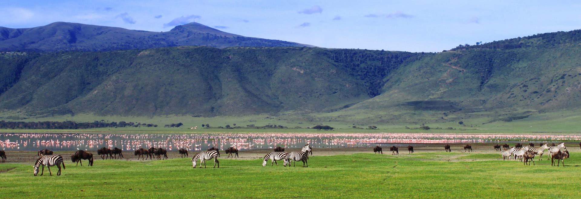 Africa-Tanzania-Ngorongoro-Crater-Zebras-and-Flamingos