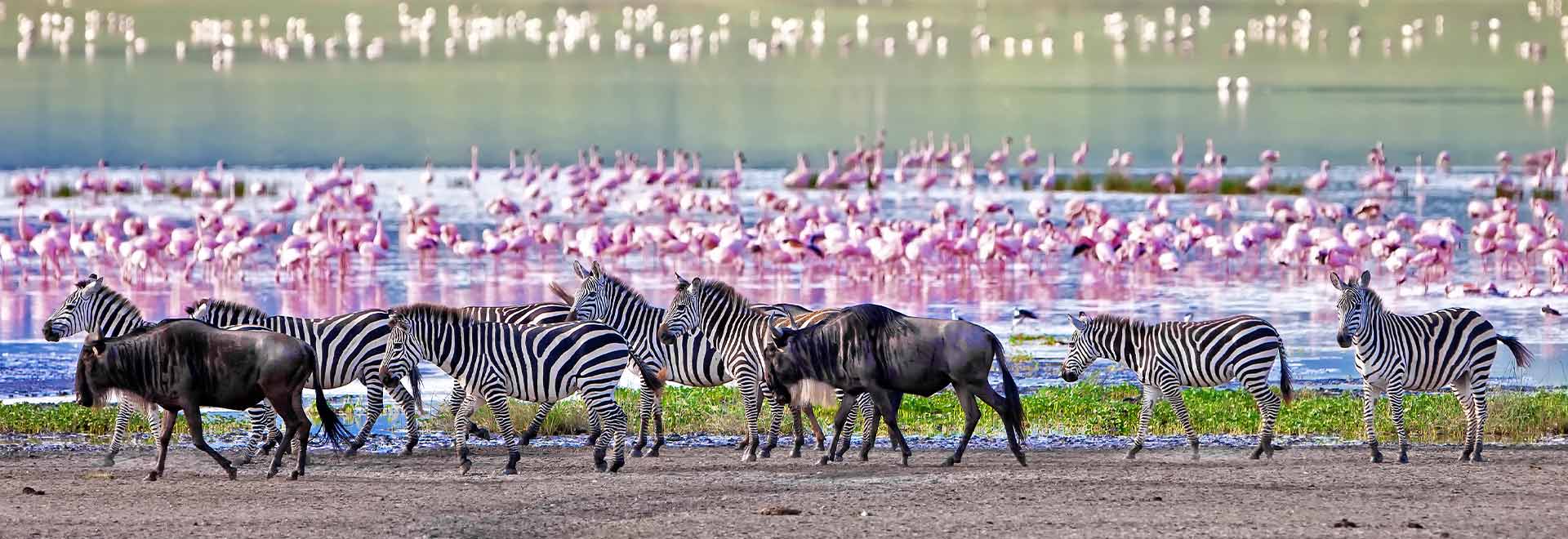 AK Legal Restrictions Terms Use Ngorongoro Crater m