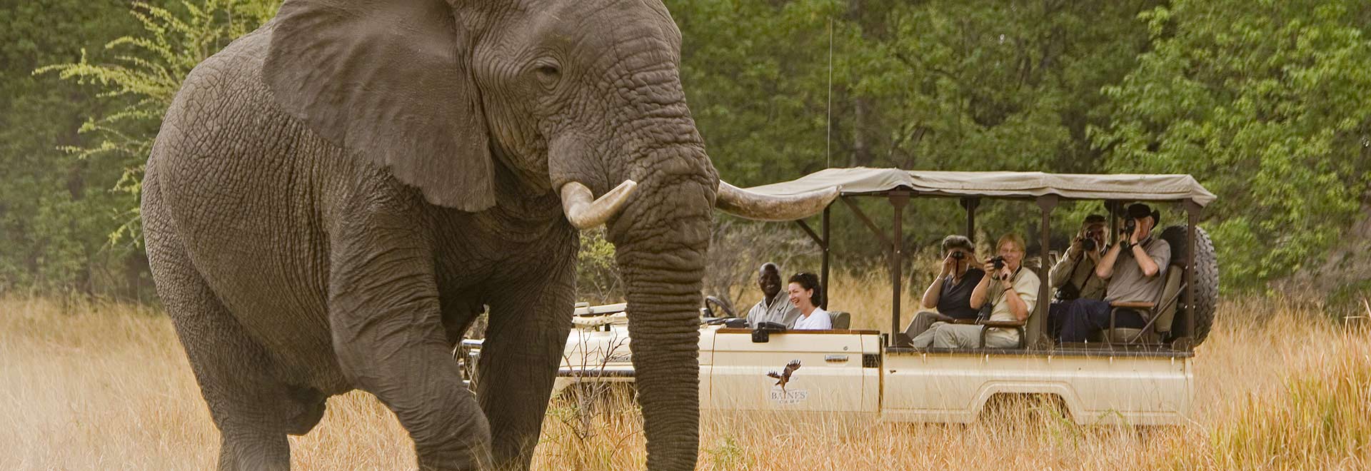 Africa Botswana Okavango Delta Santuary Baines Camp Game Drive Elephant